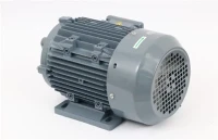 Motor trifàsic de 400 w de CA
